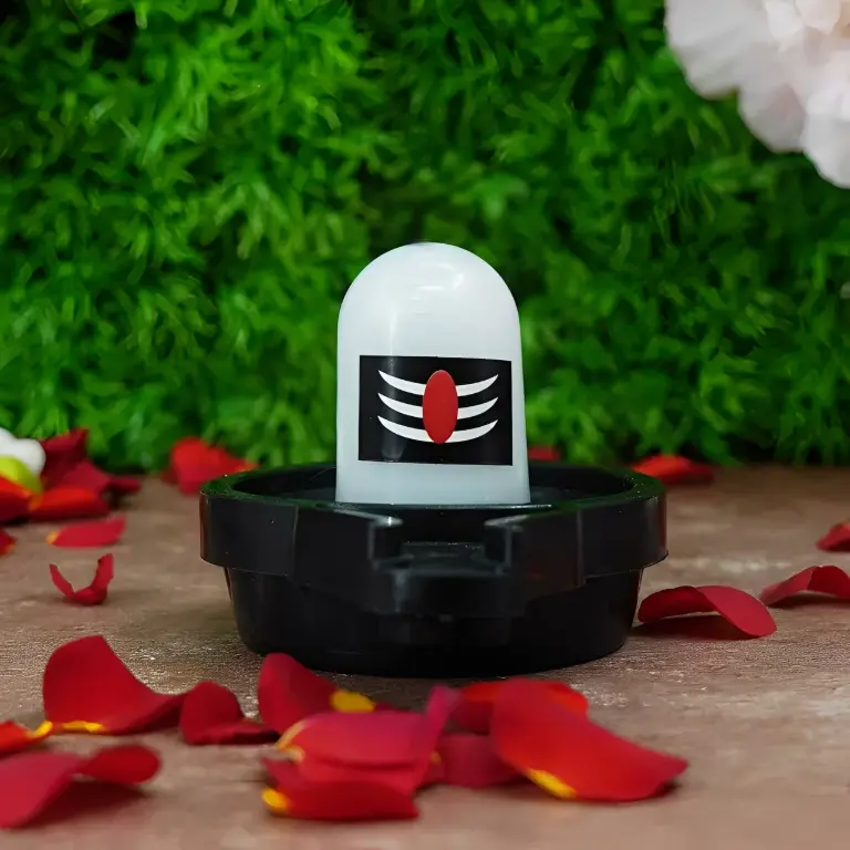 Premium Shivling Set (4 Pcs) | Tech Master | Surprise Gift.